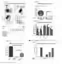 Fig. 06 - NON-GENOTOXIC CONDITIONING REGIMEN FOR STEM CELL TRANSPLANTATION
