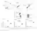 Fig. 09 - NON-GENOTOXIC CONDITIONING REGIMEN FOR STEM CELL TRANSPLANTATION