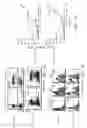 Fig. 02 - BI-SPECIFIC TARGETED CHIMERIC ANTIGEN RECEPTOR T CELLS