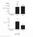 Fig. 06 - BI-SPECIFIC TARGETED CHIMERIC ANTIGEN RECEPTOR T CELLS
