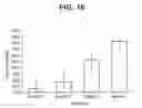 Fig. 17 - compositions and methods thereof