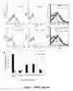 Fig. 08 - Targets of 