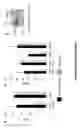 Fig. 10 - Targets of 
