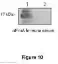 Fig. 11 - Targets of 