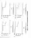 Fig. 13 - Targets of 