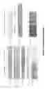 Fig. 04 - Targets of acinetobacter baumannii
