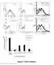 Fig. 08 - Targets of acinetobacter baumannii
