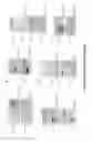Fig. 06 - Targets of acinetobacter baumannii