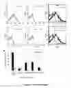 Fig. 08 - Targets of acinetobacter baumannii