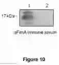 Fig. 11 - Targets of acinetobacter baumannii