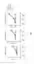 Fig. 06 - Method for eliciting an immune response to an immunogen