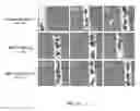 Fig. 05 - MODULATION OF SRPX2-MEDIATED ANGIOGENESIS