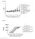 Fig. 04 - Antibodies binding AXL