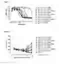 Fig. 07 - Antibodies binding AXL