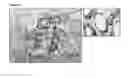 Fig. 08 - Antibodies binding AXL