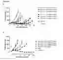 Fig. 09 - Antibodies binding AXL