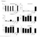 Fig. 11 - Antibodies binding AXL