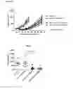 Fig. 24 - Antibodies binding AXL
