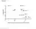 Fig. 26 - Antibodies binding AXL