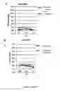 Fig. 06 - METHODS AND PHARMACEUTICAL COMPOSITIONS FOR ENHANCING NK CELL KILLING ACTIVITIES