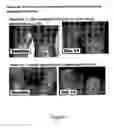 Fig. 02 - COSMETIC AND PHARMACEUTICAL FOAM