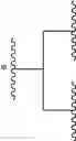 Fig. 263 - Eight-arm polyethylene glycol derivative, production method therefor, and modified bio-related substance thereof
