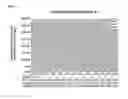 Fig. 07 - PEPTIDE HAVING CELL MEMBRANE PENETRATING ACTIVITY