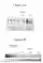 Fig. 03 - Peptide oligonucleotide conjugates
