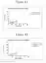 Fig. 07 - Peptide oligonucleotide conjugates