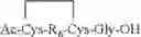 Fig. 100 - Peptide oligonucleotide conjugates