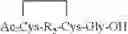 Fig. 101 - Peptide oligonucleotide conjugates