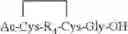 Fig. 102 - Peptide oligonucleotide conjugates