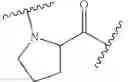 Fig. 141 - Peptide oligonucleotide conjugates