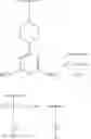 Fig. 16 - Peptide oligonucleotide conjugates