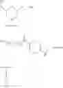 Fig. 56 - Peptide oligonucleotide conjugates