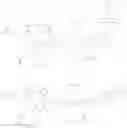 Fig. 76 - Peptide oligonucleotide conjugates
