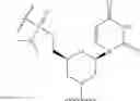 Fig. 86 - Peptide oligonucleotide conjugates