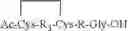 Fig. 97 - Peptide oligonucleotide conjugates