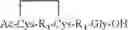 Fig. 99 - Peptide oligonucleotide conjugates