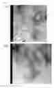 Fig. 04 - GEL COMPOSITION AND METHOD FOR PRODUCING GEL COMPOSITION