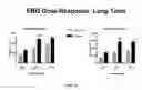 Fig. 08 - Methods and compositions for treating genetically linked diseases of the eye