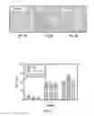 Fig. 07 - TEXTURED ARTICLES FOR ENHANCED CELL FORMATION AND METHODS OF MAKING THEREOF