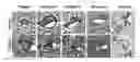Fig. 01 - Methods and devices for the production of decellularised tissue scaffolds