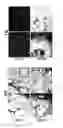 Fig. 09 - Methods and devices for the production of decellularised tissue scaffolds