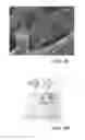 Fig. 07 - Vascular cast-based scaffolds and methods of making the same