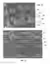 Fig. 07 - Pattern transfer device for mass transfer of micro-patterns onto medical devices