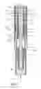 Fig. 15 - Auto-injector