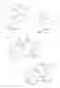 Fig. 07 - Nasal prongs for mask system