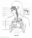 Fig. 05 - Headgear with covered edge