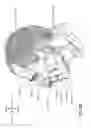 Fig. 08 - Headgear with covered edge